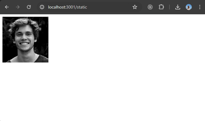 screenshot of the browser showing a blank page with an image