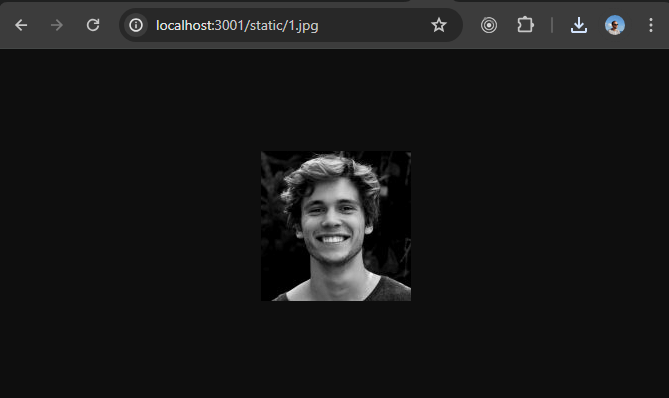 screenshot of the browser showing the requested image file
